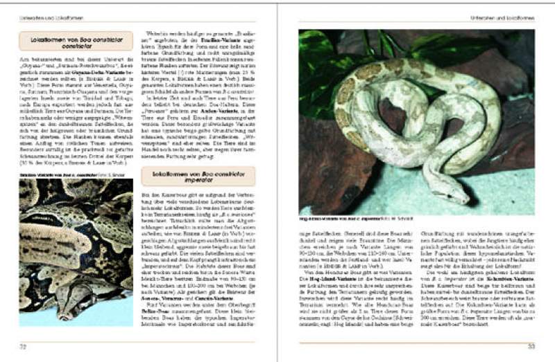 Preview: Boa constrictor